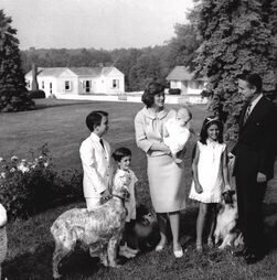 Maldição dos Kennedy: as tragédias que afetam a poderosa família há mais de 80 anos