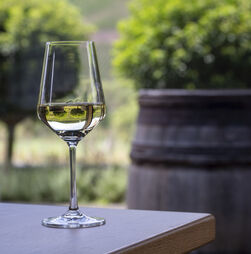 Estes cinco vinhos brancos aguentam bem o frio