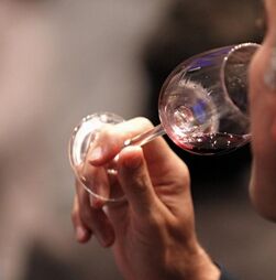  Cinco vinhos tintos para aquecer o corpo e a alma