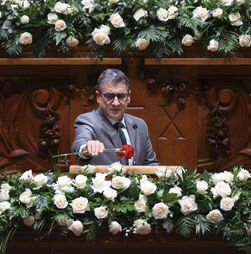 Cravos vermelhos vs. rosas brancas. Há um significado por trás das flores na AR?