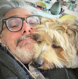 Cadela Chiclete pode ou não visitar Nuno Markl no hospital? As regras que se impõem o animal poder ver o dono