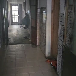 Rede criminosa desmantelada pela PJ controlava 500 imigrantes, nem todos vítimas