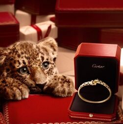 Marca de luxo lança campanha de Natal com panteras bebés e deixa os fãs loucos