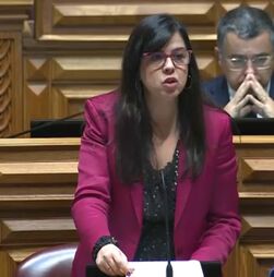 PAN acusa Governo de “começar sistematicamente as políticas país pelo telhado”