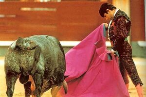 Toureiro Rafael de Paula