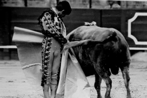 Toureiro Rafael de Paula