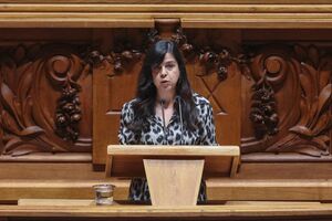 Inês Sousa Real, deputada do PAN