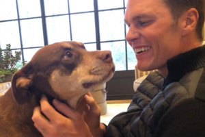 Tom Brady com a cadela 'Lua'