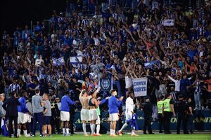 Adeptos do FC Porto apoiam a equipa no Estádio do Dragão