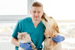 Fim das diferenças! Ordem dos Veterinários pede IVA a 6% para animais de companhia e de produção