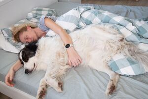 Será que é boa ideia dormir com os patudos? Fique com os prós e contras