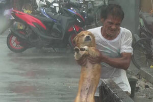 Imagens emocionantes mostram dono a fugir com o cão durante passagem de supertufão pelas Filipinas