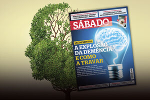 Demência: como travar a explosão