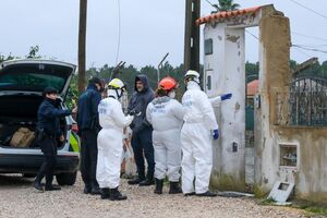 Equipas investigam estragos causados pela depressão Cláudia