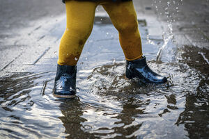 Movimento Bloom promove educação ambiental e contacto com a natureza em Sintra e Amadora