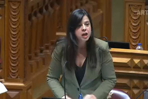 PAN critica Governo por dar “mais de 600 milhões de euros em borlas fiscais às empresas que mais poluem e lucram” 