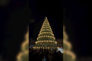 "3,2,1... é Natal em Lisboa!": Pinheiro já brilha na Praça do Comércio