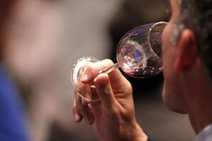 Fique com cinco sugestões de vinhos tintos para este inverno