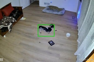 Imagens mostram o momento em que sismo de magnitude 6 atingiu o Alasca   