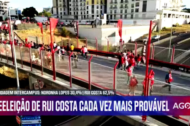 Sondagem NOW: Rui Costa com larga vantagem sobre Noronha