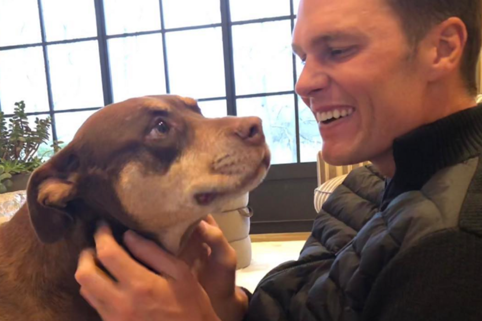 Tom Brady com a cadela 'Lua'