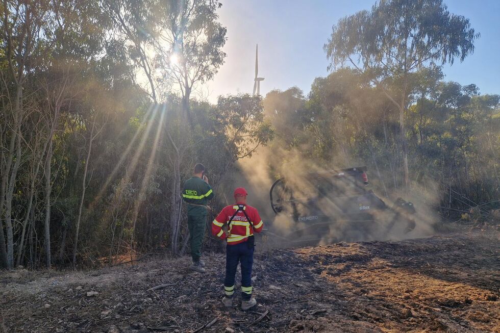 Portugal quer mais cooperação internacional nos incêndios florestais 