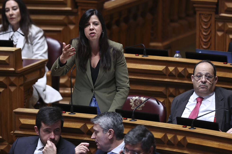 Parlamento aprova proposta do PAN para incluir vítimas de violência doméstica no Porta 65+