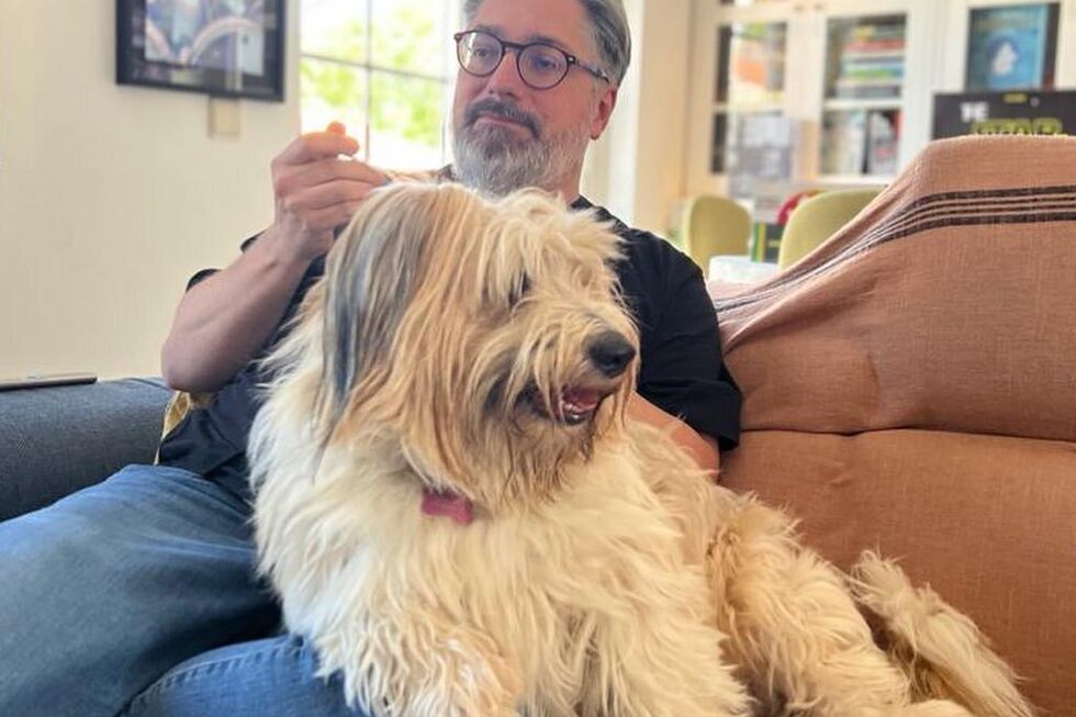 Quem é a cadela Chiclete que parece ter pressentido o AVC do dono, Nuno Markl?