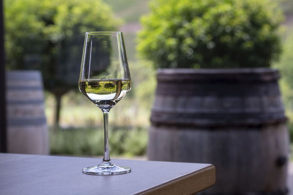 Deixamos-lhe cinco sugestões de vinhos brancos para este outono-inverno