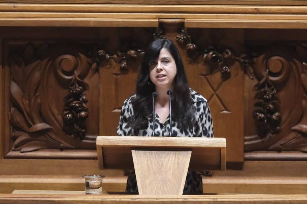 Inês Sousa Real, líder do PAN