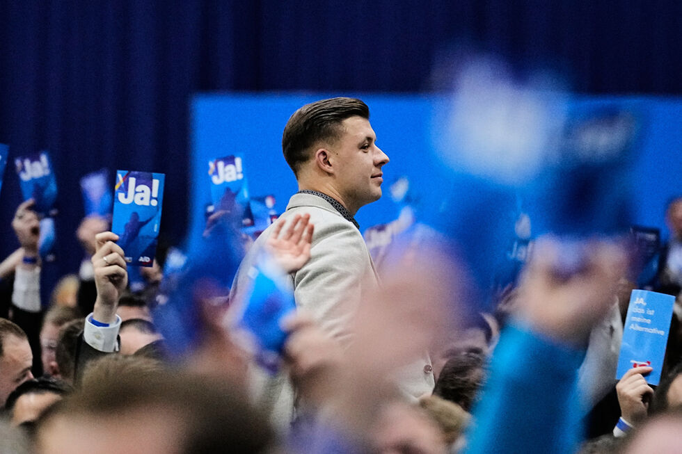 Alternativa para a Alemanha (AfD) formou a nova ala jovem do partido de extrema-direita