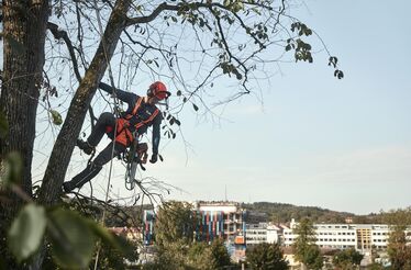 As tendências na manutenção de parques públicos que estão a conquistar a Europa