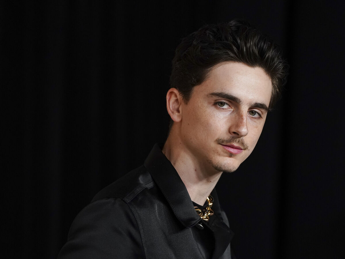 Timothée Chalamet: "Cada papel que tive a sorte de fazer, contagia-me na vida real"