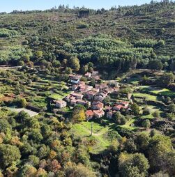 Investidor de Lisboa compra aldeia histórica de Póvoa Dão por 2,3 milhões em leilão online 