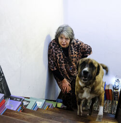 Ficção ou realidade? A crónica em que Clara Pinto Correia confessou que foi violada 