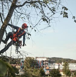 As tendências na manutenção de parques públicos que estão a conquistar a Europa