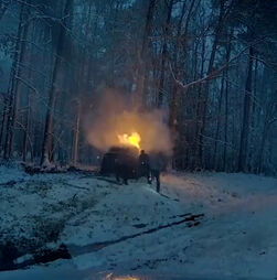 Condutor resgatado de carro em chamas durante tempestade de neve nos EUA   