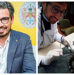 Ordem dos Médicos Veterinários faz participação de Pedro Frazão por castração ilegal de gato