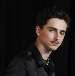 Timothée Chalamet: 'Cada papel que tive a sorte de fazer, contagia-me na vida real'