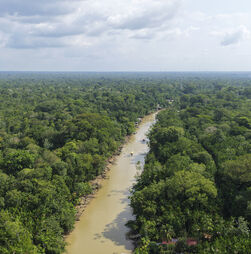 COP17 termina com compromisso de 'acelerar' esforços para proteger natureza