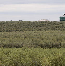 Quem é Vítor Makoi, o homem da rede de tráfico humano na Cabeça Gorda?