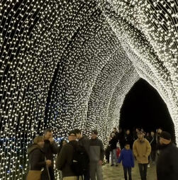 Exposição junta mais de um milhão de luzes, música e flores gigantes em parque nos EUA