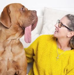 Um novo recorde do Guiness! Conheça o Ozzy, o cão com a língua mais comprida do mundo
