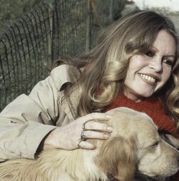 'Preferia ter parido um pequeno cão': a relação conturbada de Brigitte Bardot com filho que lhe arruinou 'a barriga lisa'