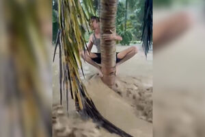 Homens agarram-se a árvores até serem salvos durante cheias na Indonésia 