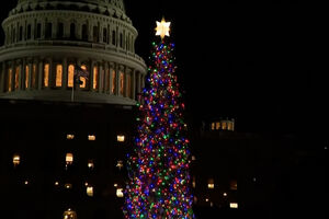 Capitólio acende árvore de Natal de 2025 