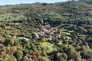 Aldeia histórica de Póvoa Dão é leiloada por 1,4 milhões após falência da Ramos Catarino