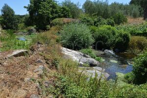 Aldeia histórica de Póvoa Dão, perto de Viseu, foi leiloada por 1,4 milhões de euros