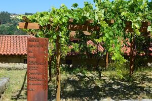 Aldeia histórica perto de Viseu tem restaurante, piscina, campo de ténis e jardins