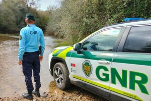 GNR realizou uma grande apreensão de óxido nitroso